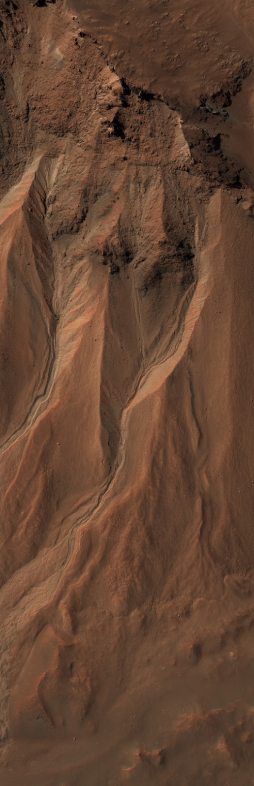 Gullies at the edge of Hale Crater, Mars (NASA/JPL/University of Arizona)